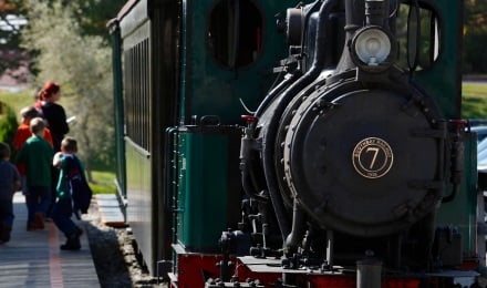 Vintage Train Ride